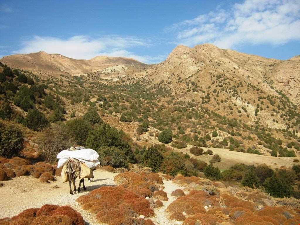 آبشار جم ( سالوک )