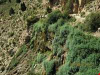 آبشار جم ( سالوک )