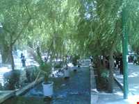 چشمه‌های آبگرم محلات