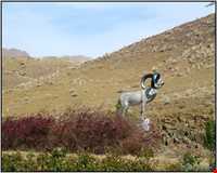 چشمه‌های آبگرم محلات