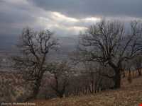 Yasouj Natural Park