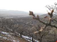 Yasouj Natural Park