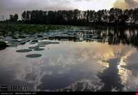 بوستان نیلوفر آبی