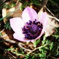 Makhmalkooh Natural Park