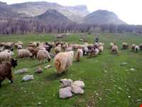 Makhmalkooh Waterfall