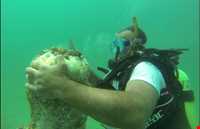 موزه زیر آب قشم ( موزه غدیر )