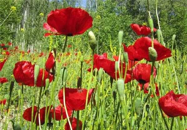 Rud Khaneh Sadat Village