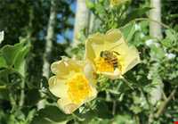 Rud Khaneh Sadat Village