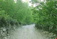 Rud Khaneh Sadat Village