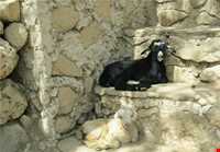 Rud Khaneh Sadat Village