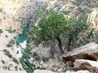 Tange Dom-e Asb Waterfall