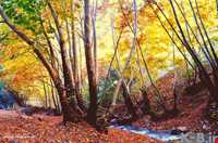 تنگ گنجه ای