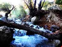 تنگ گنجه ای