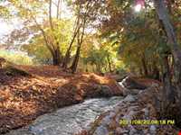 تنگ گنجه ای