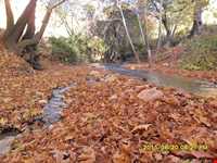 تنگ گنجه ای