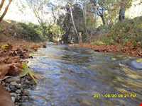 تنگ گنجه ای