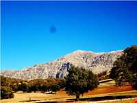 تنگ گنجه ای