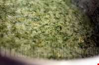 آش ماست ( یوغورت آش )