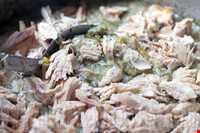 آش ماست ( یوغورت آش )