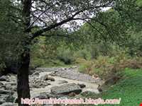 آبشار تریشوم