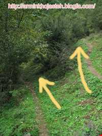 آبشار تریشوم