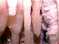 غار نخجیر استان مرکزی