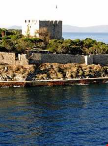 جزیره کبوتر