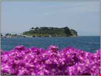 Pigeon Island