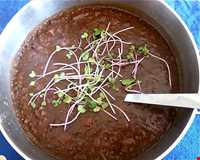 Pomegranate soup (Arak)