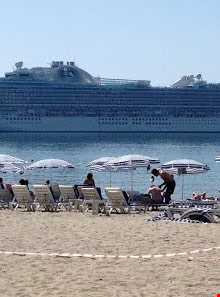 ساحل داون تان