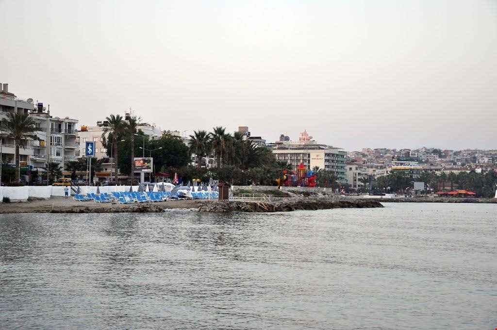 ساحل داون تان