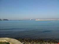 ساحل داون تان