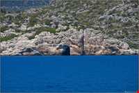 منطقه کاخ کالکوی