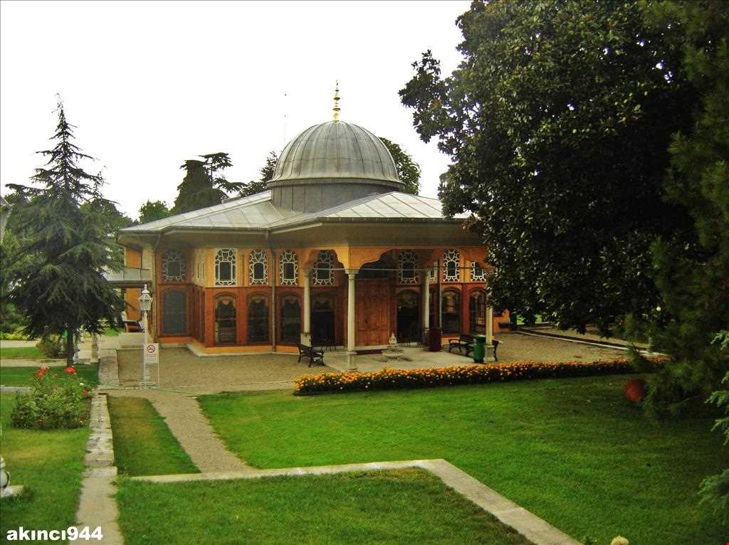 آینالی کاواک