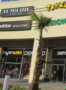 نکات کلیدی خرید در کوش آداسی