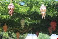 نکات کلیدی خرید در کوش آداسی