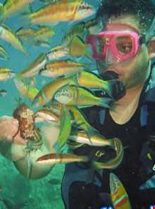 تجربه غواصی