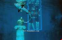 پارک دریایی آدلاند