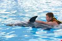 پارک دریایی آدلاند