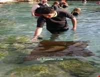 پارک دریایی آدلاند