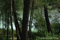 دره عمیق پلدار آنتالیا ( کورپولو کانیون )