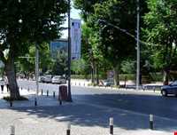 خیابان بغداد