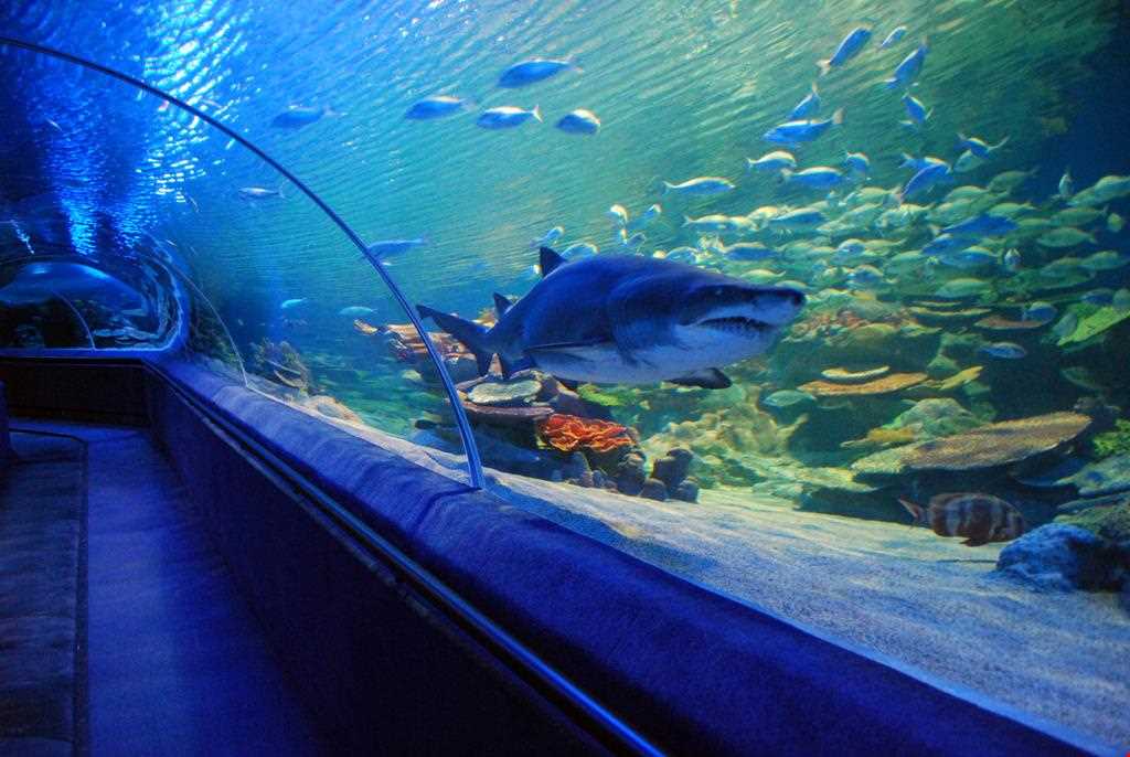 Istanbul Aquarium