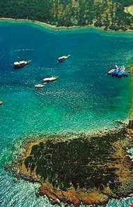 جزیره کلئوپاترا