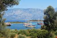 جزیره کلئوپاترا