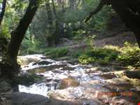 آبشار تورگوت