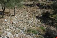 کاستابوس مارماریس