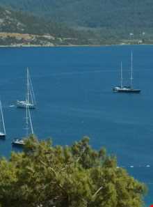 ساحل اتوفلم