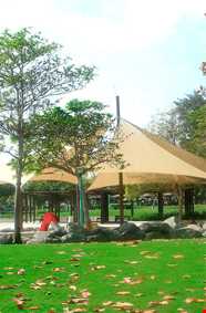 پارک ساحلی جمیرا