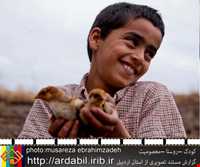 زبان و گویش مردم اردبیل